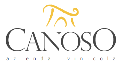 Logo Canoso